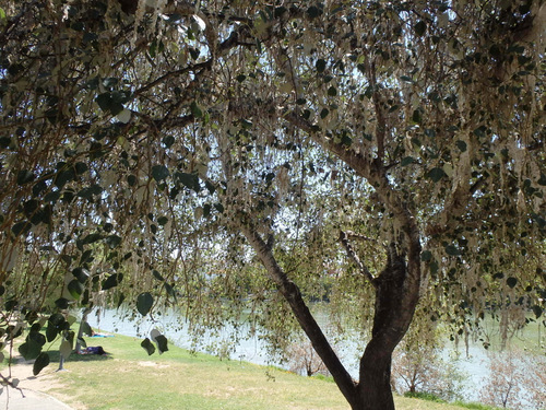 Rio Guadalquivir.